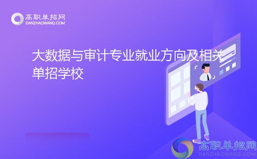 大數(shù)據(jù)與審計專業(yè)就業(yè)方向及相關單招學校技術服務